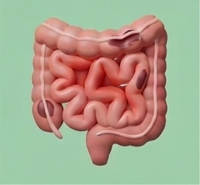 Ícone Doença inflamatória intestinal